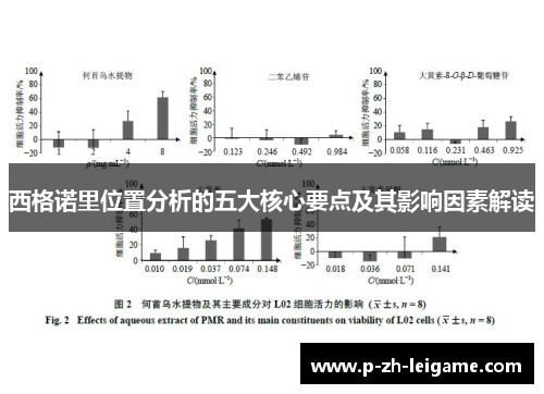 西格诺里位置分析的五大核心要点及其影响因素解读