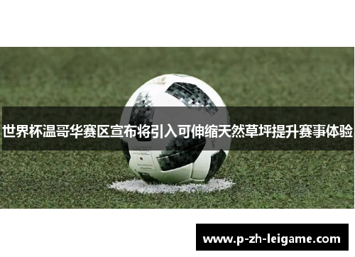世界杯温哥华赛区宣布将引入可伸缩天然草坪提升赛事体验